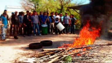 Tras una semana, los trabajadores desbloquean el acceso al frigorífico Manfico
