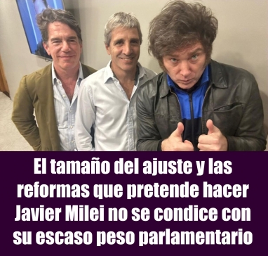 El tamaño del ajuste y las reformas que pretende hacer Javier Milei no se condice con su escaso peso parlamentario