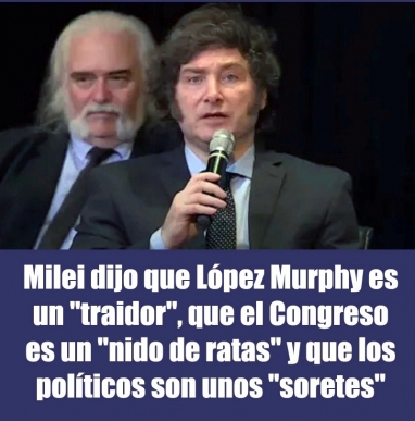 Milei dijo que López Murphy es un traidor, que el Congreso es un nido de ratas y que los políticos son unos soretes