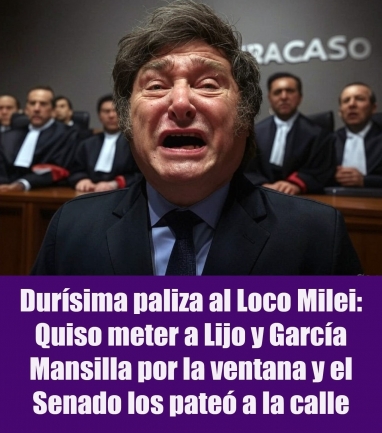 Durísima paliza al Loco Milei: Quiso meter a Lijo y García Mansilla por la ventana y el Senado los pateó a la calle