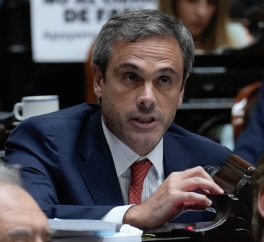 Michel contra Milei: Michel contra Milei: